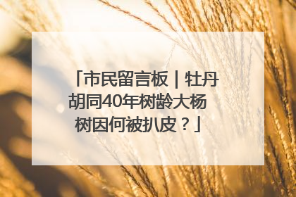 市民留言板｜牡丹胡同40年树龄大杨树因何被扒皮？