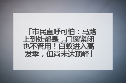 市民直呼可怕：马路上到处都是，门窗紧闭也不管用！白蚁进入高发季，但尚未达顶峰