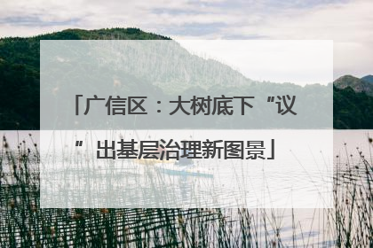 广信区：大树底下“议”出基层治理新图景