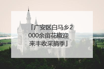 广安区白马乡2000余亩花椒迎来丰收采摘季