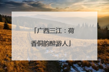 广西三江：荷香侗韵醉游人