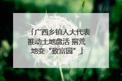 广西乡镇人大代表推动土地盘活 撂荒地变“致富园”