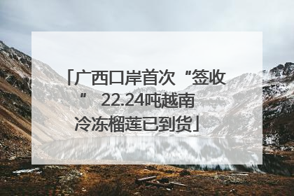 广西口岸首次“签收” 22.24吨越南冷冻榴莲已到货