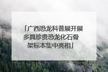 广西恐龙科普展开展 多具珍贵恐龙化石骨架标本集中亮相