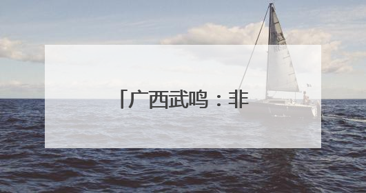 广西武鸣：非遗焕发蓬勃生机 乡村添光彩