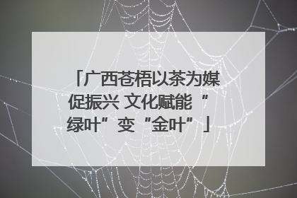 广西苍梧以茶为媒促振兴 文化赋能“绿叶”变“金叶”