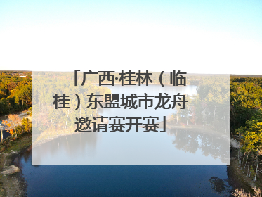 广西·桂林（临桂）东盟城市龙舟邀请赛开赛