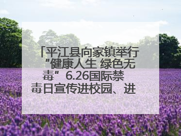 平江县向家镇举行“健康人生 绿色无毒”6.26国际禁毒日宣传进校园、进社区活动