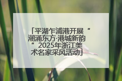 平湖乍浦港开展“潮涌东方·港城新韵”2025年浙江美术名家采风活动