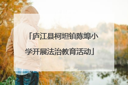 庐江县柯坦镇陈埠小学开展法治教育活动