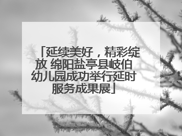 延续美好，精彩绽放 绵阳盐亭县岐伯幼儿园成功举行延时服务成果展