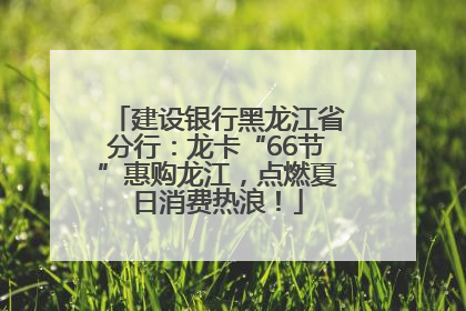 建设银行黑龙江省分行：龙卡“66节”惠购龙江，点燃夏日消费热浪！