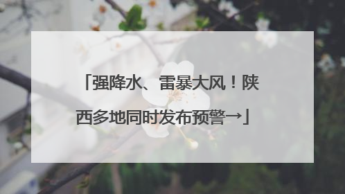 强降水、雷暴大风！陕西多地同时发布预警→