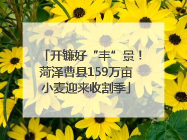 开镰好“丰”景！菏泽曹县159万亩小麦迎来收割季