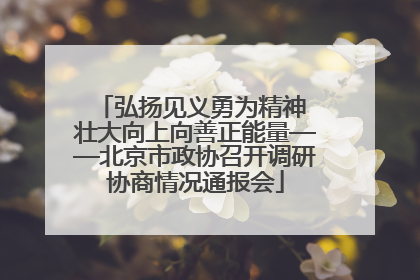 弘扬见义勇为精神 壮大向上向善正能量——北京市政协召开调研协商情况通报会