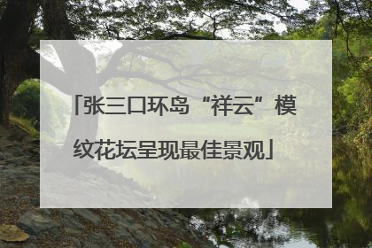 张三口环岛“祥云”模纹花坛呈现最佳景观