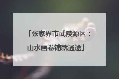 张家界市武陵源区：山水画卷铺就通途