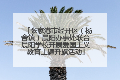 张家港市经开区（杨舍镇）晨阳办事处联合晨阳学校开展爱国主义教育主题升旗活动