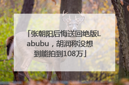 张朝阳后悔送回绝版Labubu，胡润称没想到能拍到108万
