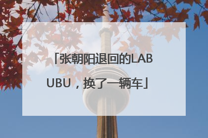 张朝阳退回的LABUBU，换了一辆车