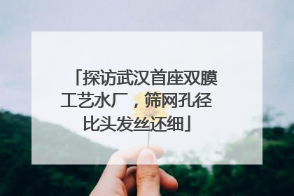 探访武汉首座双膜工艺水厂，筛网孔径比头发丝还细