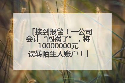 接到报警！一公司会计“闯祸了”，将10000000元误转陌生人账户！