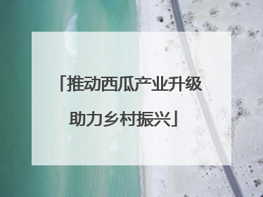 推动西瓜产业升级 助力乡村振兴