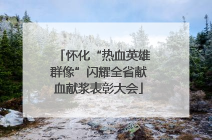 怀化“热血英雄群像”闪耀全省献血献浆表彰大会
