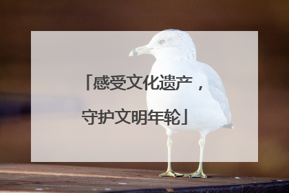 感受文化遗产，守护文明年轮
