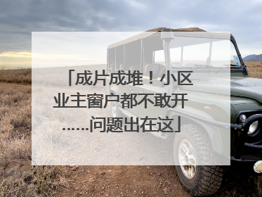 成片成堆！小区业主窗户都不敢开……问题出在这