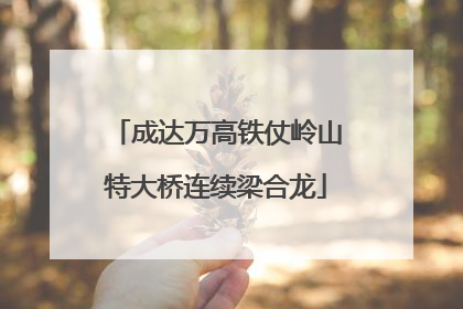 成达万高铁仗岭山特大桥连续梁合龙