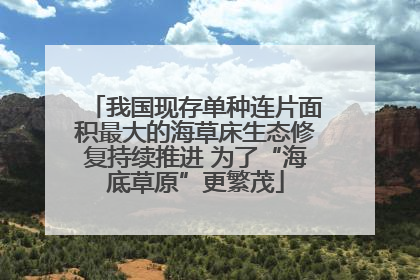 我国现存单种连片面积最大的海草床生态修复持续推进 为了“海底草原”更繁茂