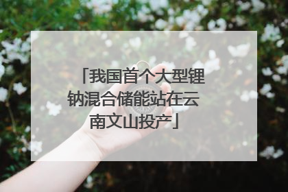 我国首个大型锂钠混合储能站在云南文山投产