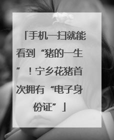 手机一扫就能看到“猪的一生”！宁乡花猪首次拥有“电子身份证”