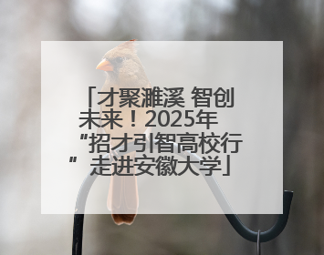才聚濉溪 智创未来！2025年“招才引智高校行”走进安徽大学