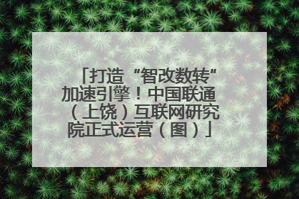 打造“智改数转”加速引擎！中国联通（上饶）互联网研究院正式运营（图）