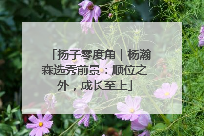 扬子零度角｜杨瀚森选秀前景：顺位之外，成长至上