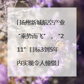 扬州新城航空产业“乘势而飞”，“211”目标3到5年内实现令人憧憬