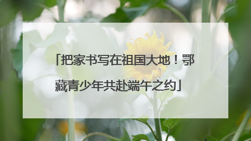 把家书写在祖国大地！鄂藏青少年共赴端午之约