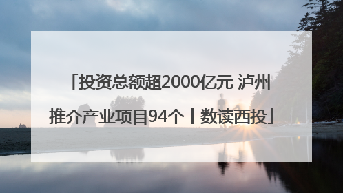 投资总额超2000亿元 泸州推介产业项目94个丨数读西投