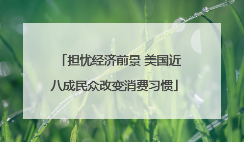 担忧经济前景 美国近八成民众改变消费习惯