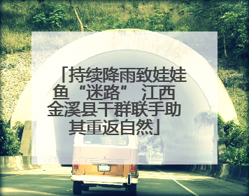 持续降雨致娃娃鱼“迷路” 江西金溪县干群联手助其重返自然