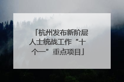 杭州发布新阶层人士统战工作“十个一”重点项目