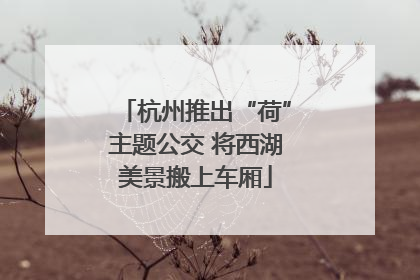 杭州推出“荷”主题公交 将西湖美景搬上车厢