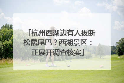 杭州西湖边有人拔断松鼠尾巴？西湖景区：正展开调查核实