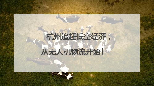 杭州追赶低空经济，从无人机物流开始
