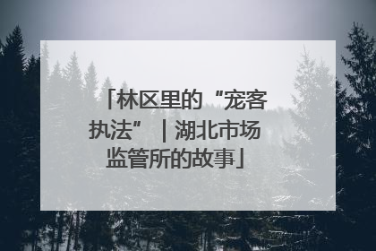 林区里的“宠客执法”｜湖北市场监管所的故事