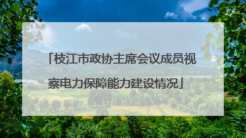 枝江市政协主席会议成员视察电力保障能力建设情况