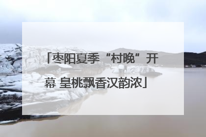 枣阳夏季“村晚”开幕 皇桃飘香汉韵浓