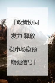 政策协同发力 释放稳市场稳预期强信号